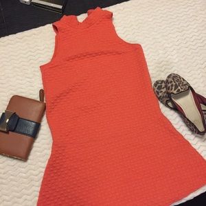 Abercrombie & Fitch | Dress